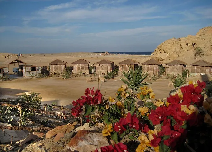 Roots Red Sea Resort