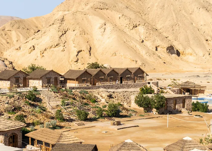 Resort Roots Red Sea 3*