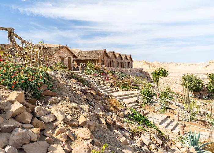 Resort Roots Red Sea El Qoseir