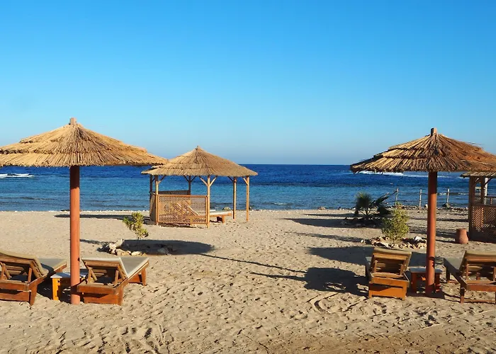 Roots Red Sea Resort 3*