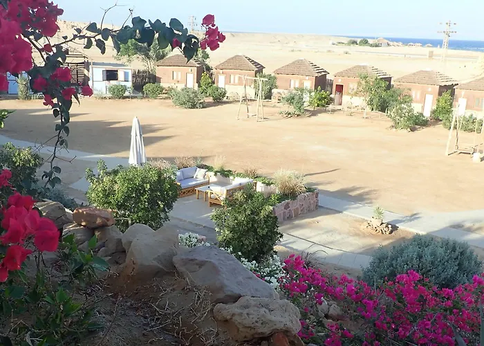 Roots Red Sea 3*