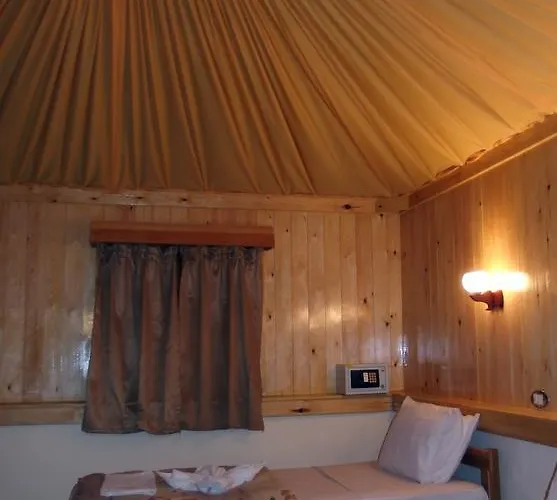 Resort Roots Red Sea 3*